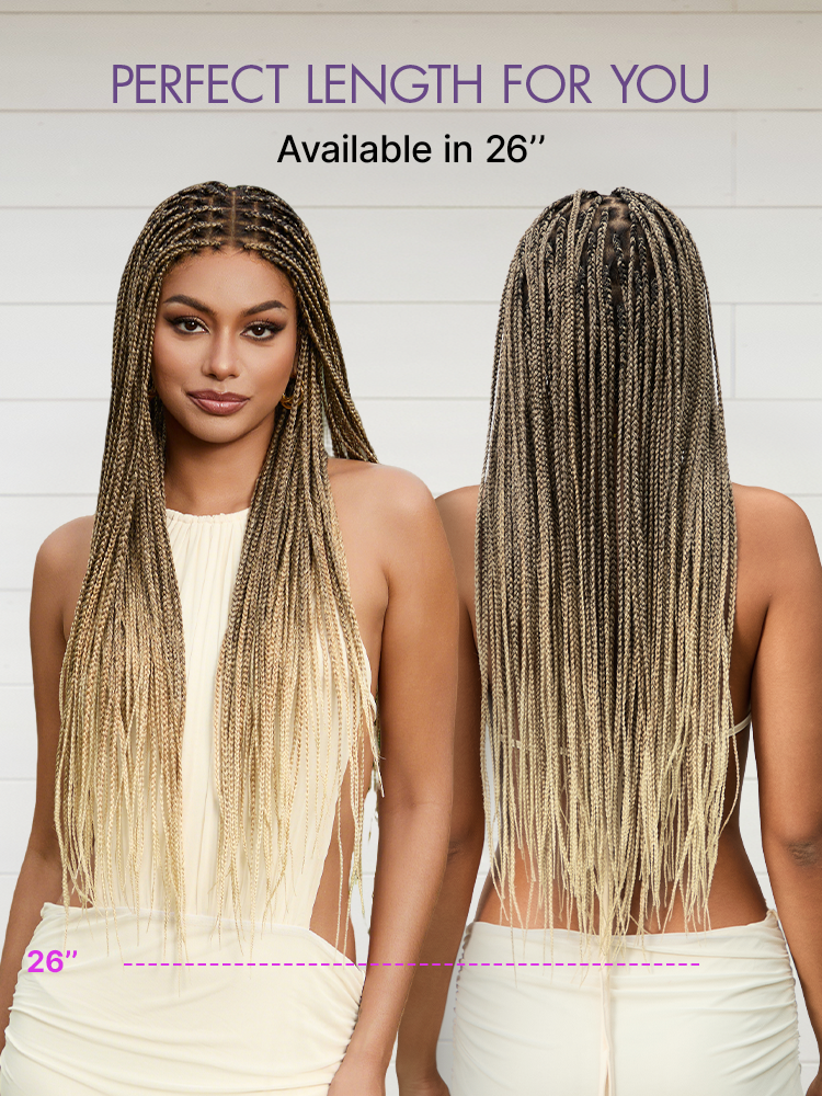 Salon Braids HD Lace Knotless Wig